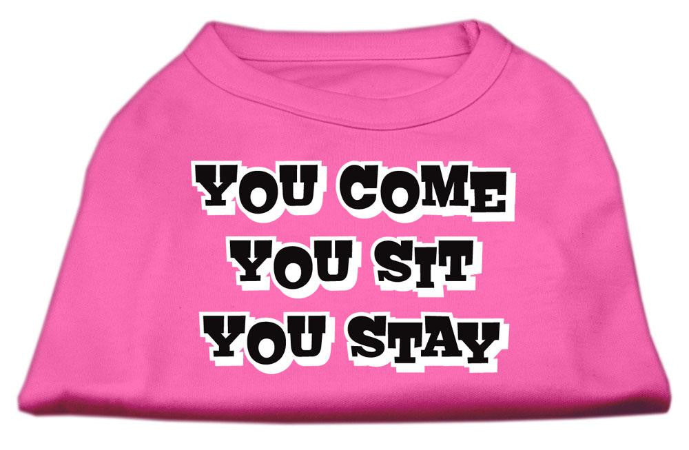 You Come, You Sit, You Stay Screen Print Shirts Bright Pink M (12)