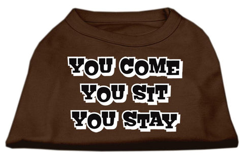 You Come, You Sit, You Stay Screen Print Shirts Brown Med (12)