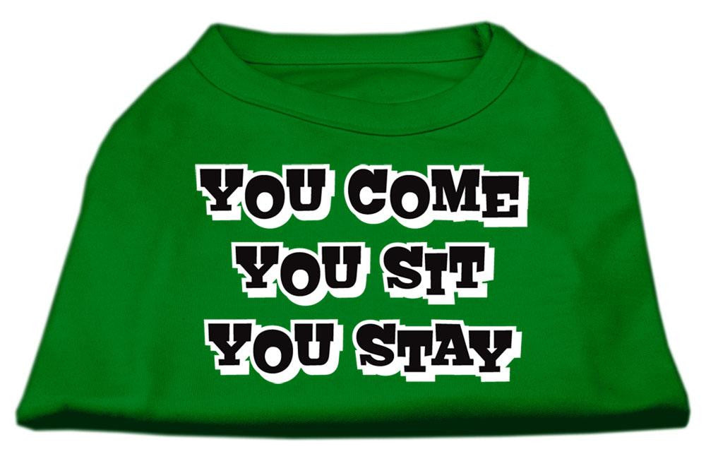 You Come, You Sit, You Stay Screen Print Shirts