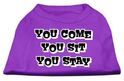 You Come, You Sit, You Stay Screen Print Shirts Purple M (12)