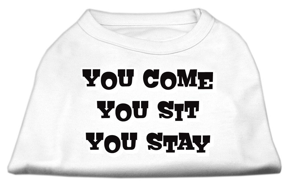 You Come, You Sit, You Stay Screen Print Shirts White M (12)