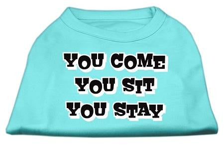 You Come, You Sit, You Stay Screen Print Shirts Aqua S (10)