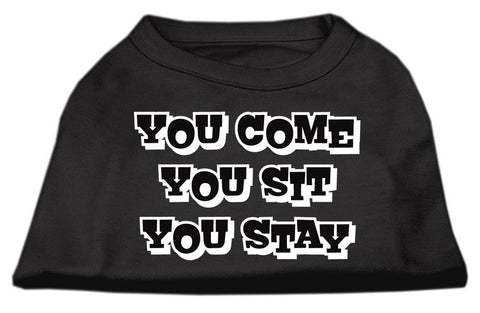 You Come, You Sit, You Stay Screen Print Shirts Black S (10)