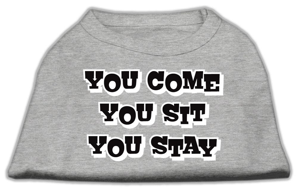 You Come, You Sit, You Stay Screen Print Shirts Grey S (10)