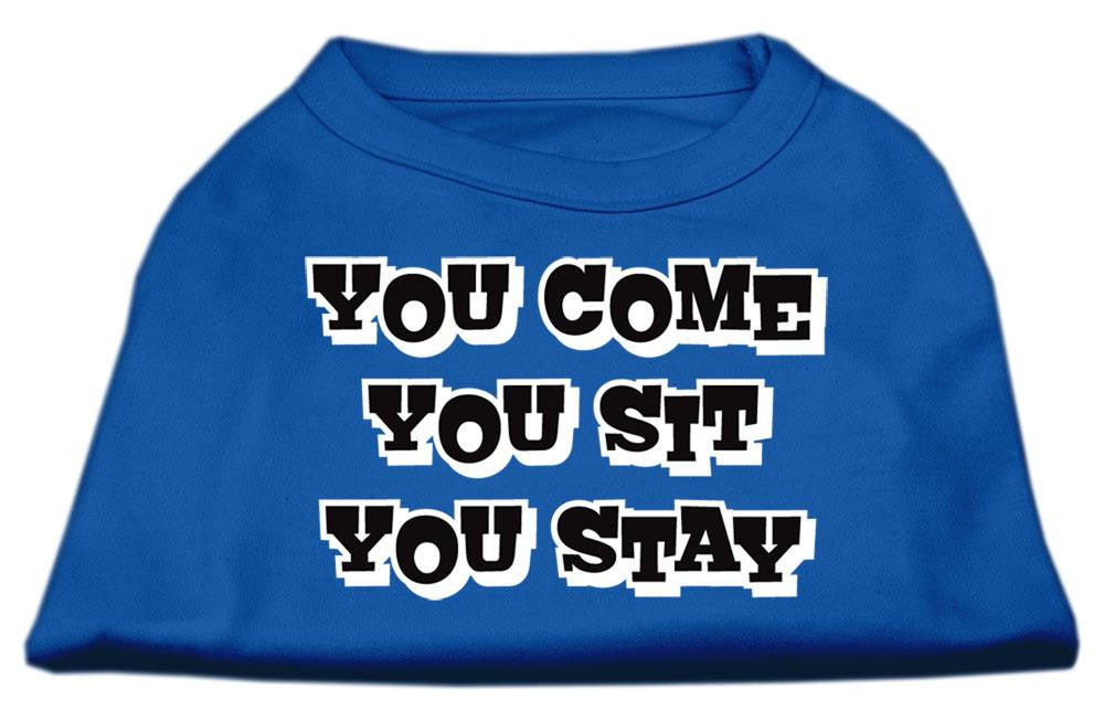 You Come, You Sit, You Stay Screen Print Shirts Blue XS (8)