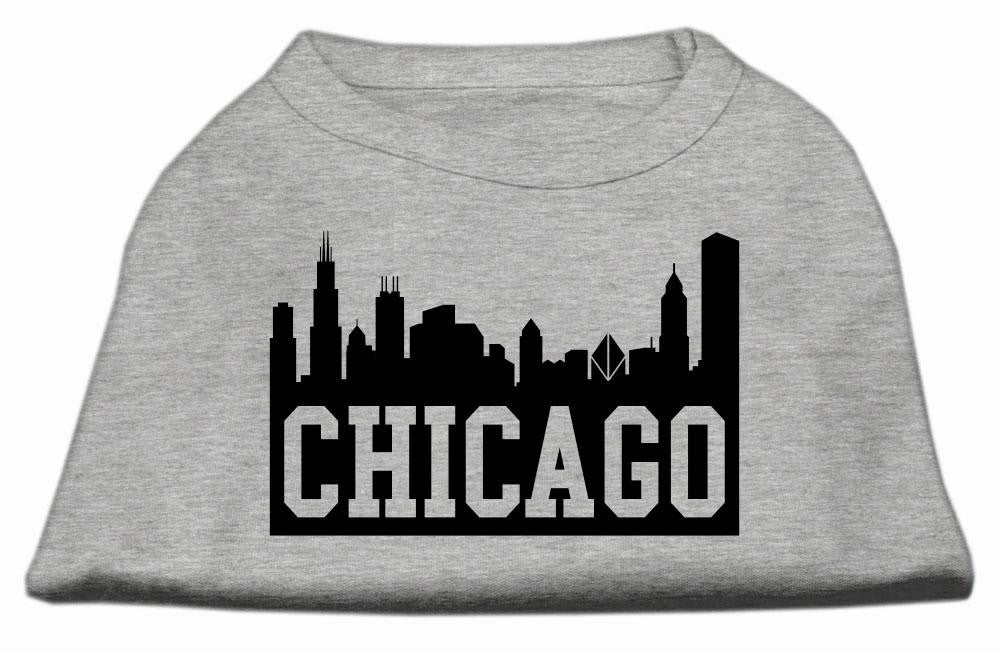 Chicago Skyline Screen Print Shirt Grey Lg (14)