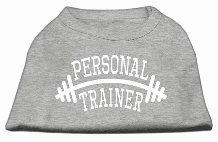 Personal Trainer Screen Print Shirt Grey Med (12)