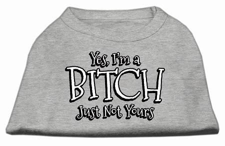 Yes Im A Bitch Just Not Yours Screen Print Shirt Grey Xxl (18)