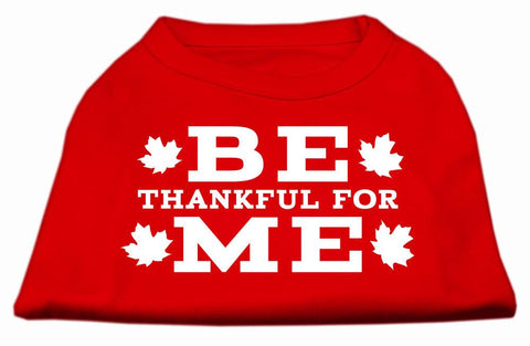 Be Thankful for Me Screen Print Shirt Red L (14)