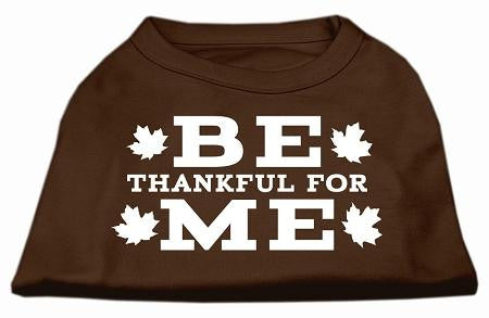 Be Thankful for Me Screen Print Shirt Brown Sm (10)