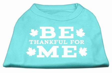 Be Thankful for Me Screen Print Shirt Aqua XS (8)