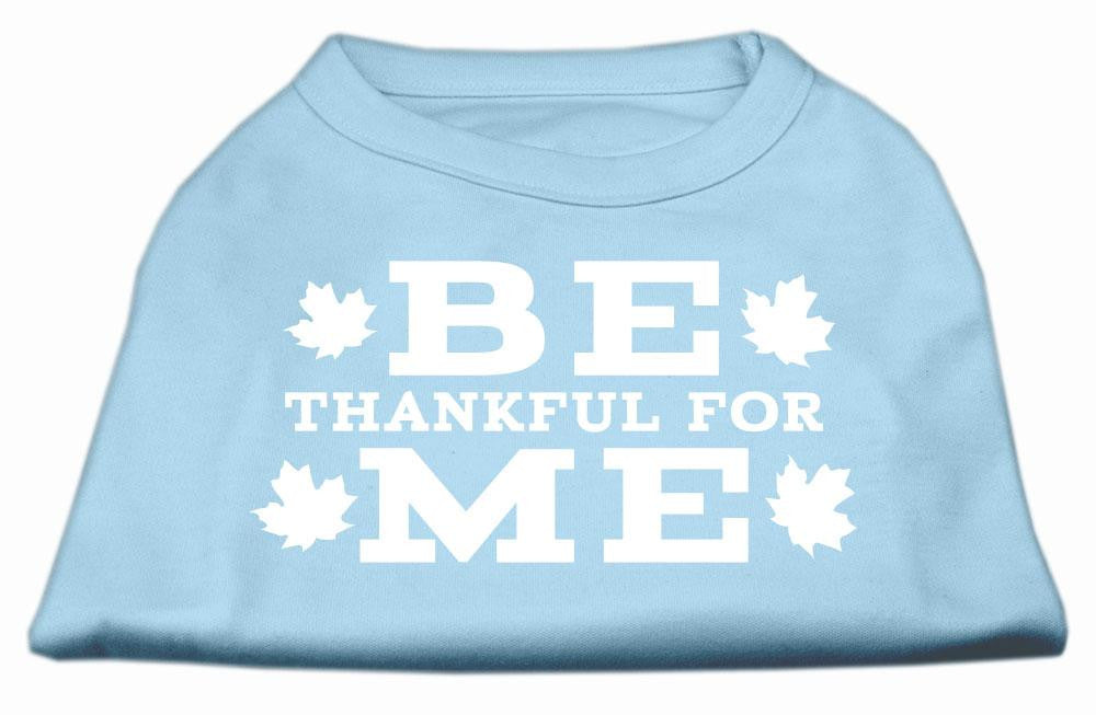 Be Thankful for Me Screen Print Shirt Baby Blue XS (8)