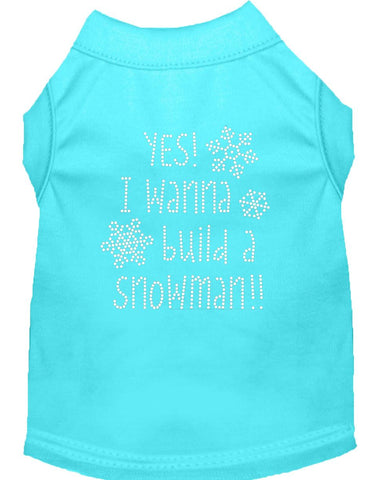 Yes! I Want To Build A Snowman Rhinestone Dog Shirt Aqua Lg (14)