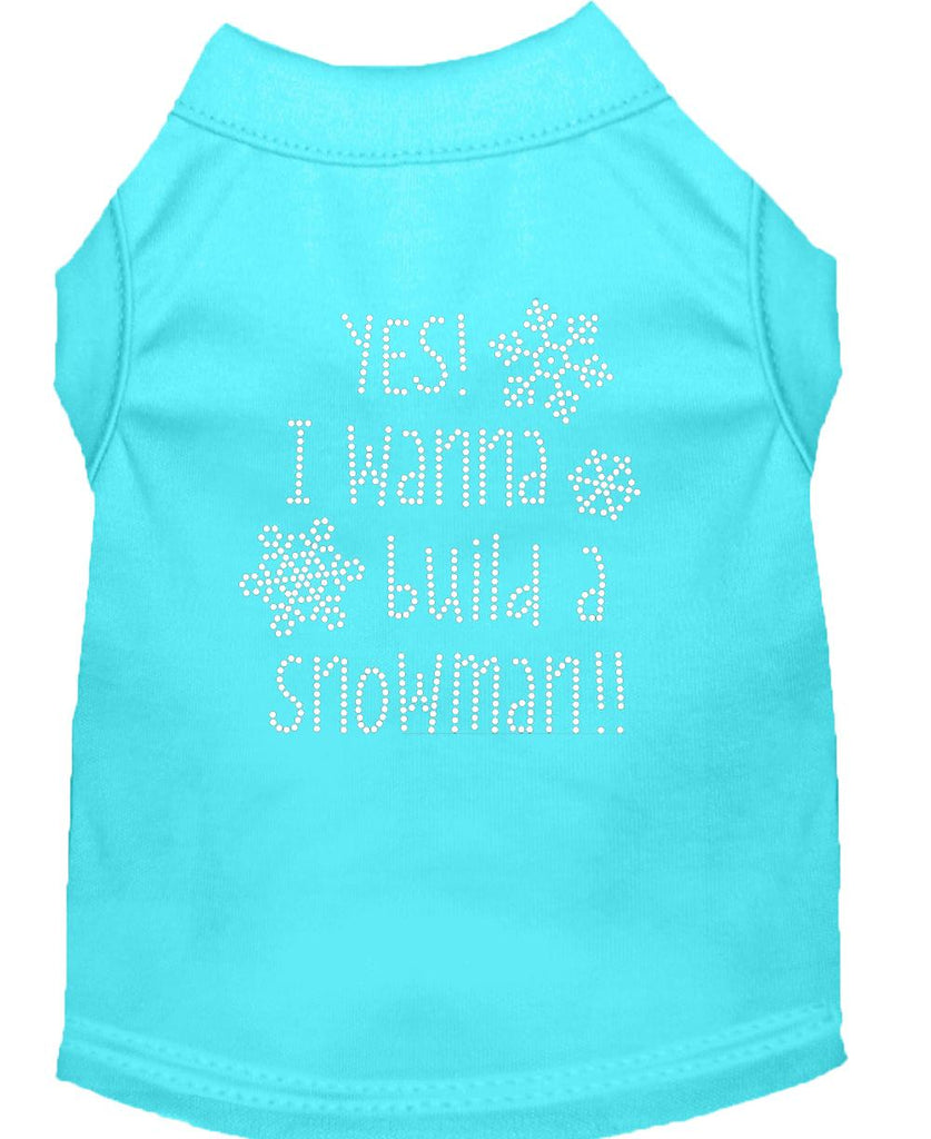 Yes! I Want To Build A Snowman Rhinestone Dog Shirt Aqua Xs (8)