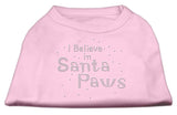 I Believe In Santa Paws Shirt