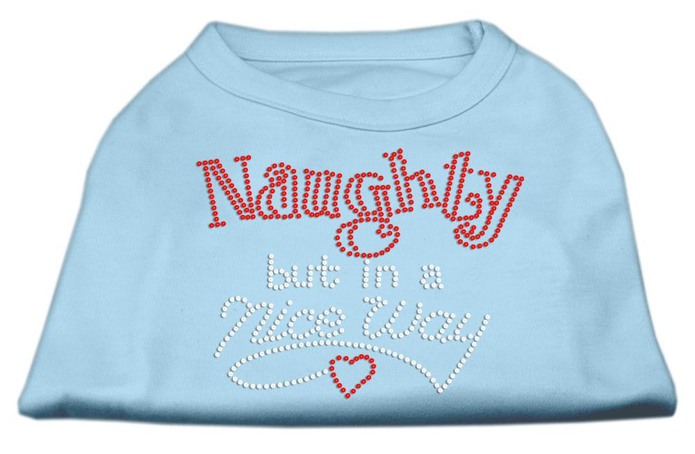 Naughty But Nice Rhinestone Shirts Baby Blue L (14)