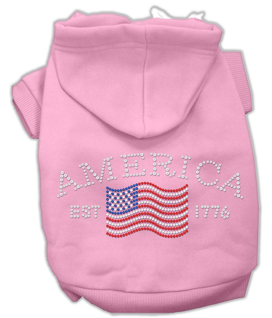 Classic American Hoodies Pink L (14)