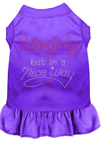 Rhinestone Naughty But In A Nice Way Dress Purple 4x (22)