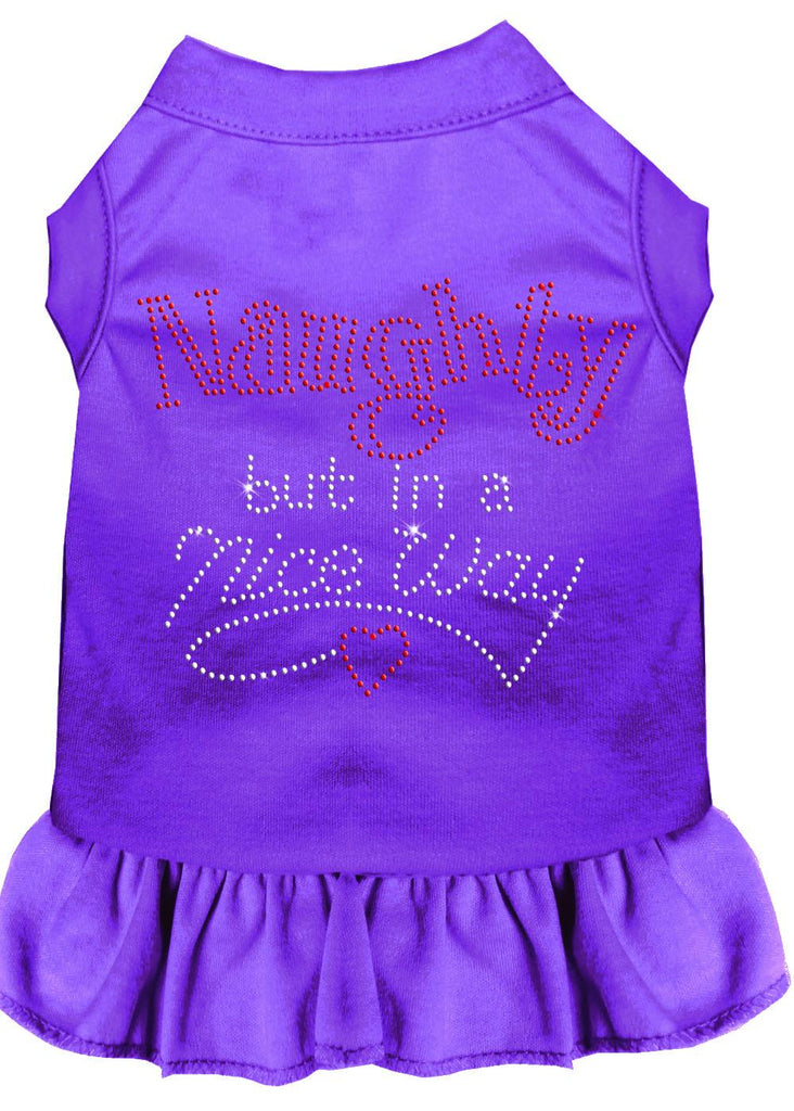 Rhinestone Naughty But In A Nice Way Dress Purple Lg (14)