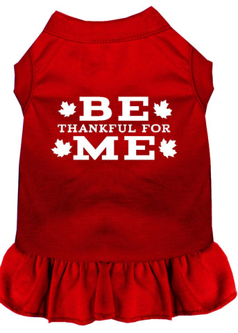 Be Thankful For Me Screen Print Dress Red 4x (22)