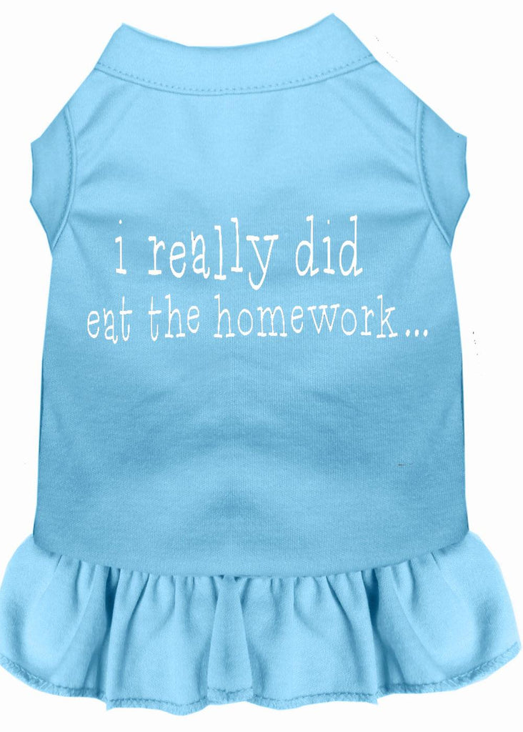 I Really Did Eat The Homework Screen Print Dress Baby Blue Lg (14)