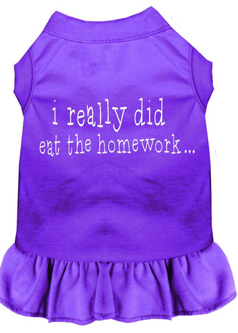 I Really Did Eat The Homework Screen Print Dress Purple Lg (14)