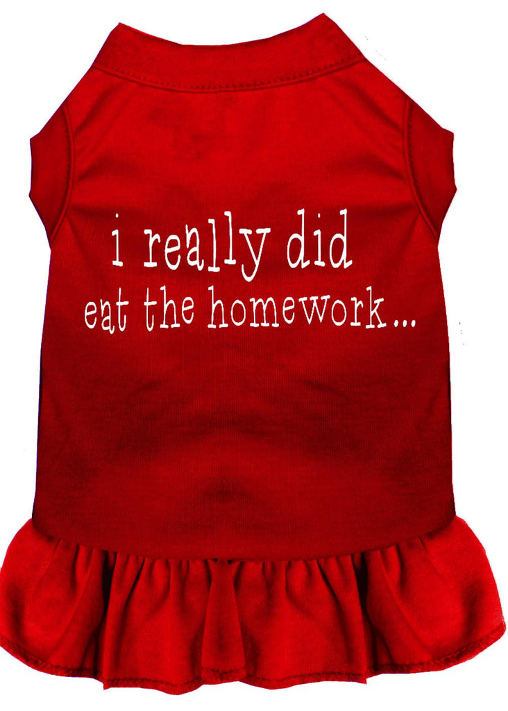 I Really Did Eat The Homework Screen Print Dress Red Lg (14)