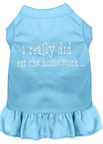 I Really Did Eat The Homework Screen Print Dress Baby Blue Med (12)