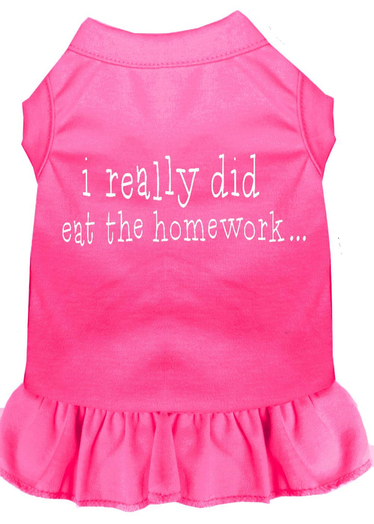 I Really Did Eat The Homework Screen Print Dress Bright Pink Xs (8)