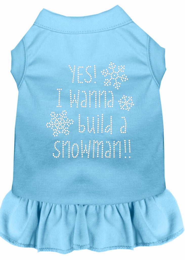 Yes! I Want To Build A Snowman Rhinestone Dog Dress Baby Blue 4x (22)