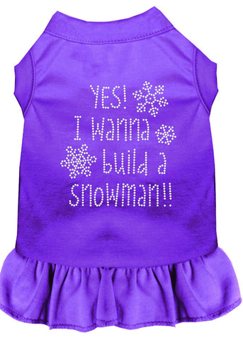 Yes! I Want To Build A Snowman Rhinestone Dog Dress Purple Med (12)