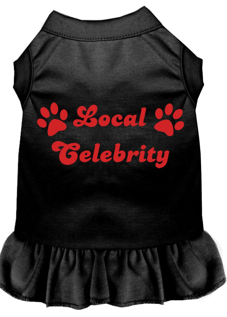 Local Celebrity Screen Print Dress Black 4x (22)