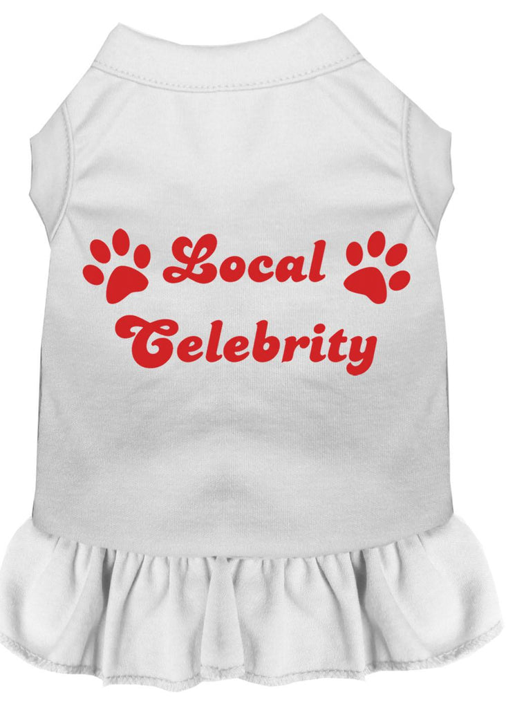 Local Celebrity Screen Print Dress White 4x (22)