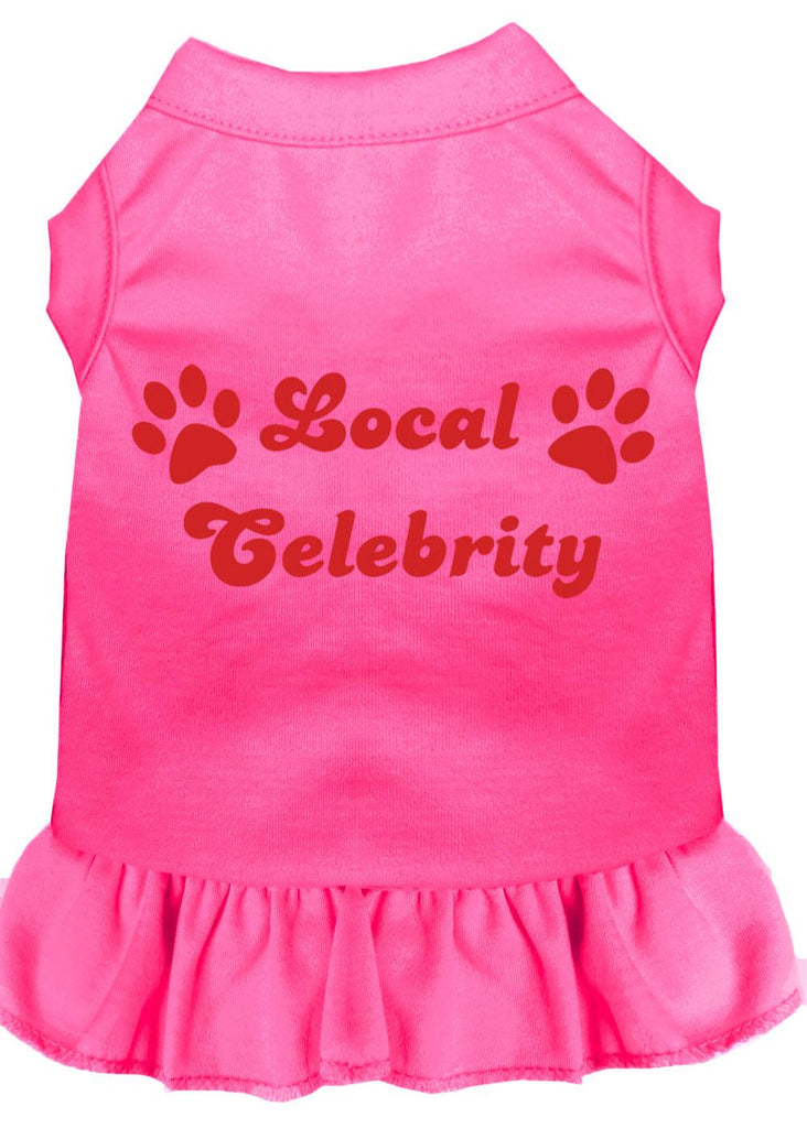 Local Celebrity Screen Print Dress Bright Pink Med (12)