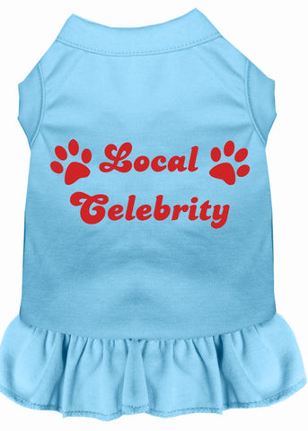 Local Celebrity Screen Print Dress Baby Blue Xs (8)