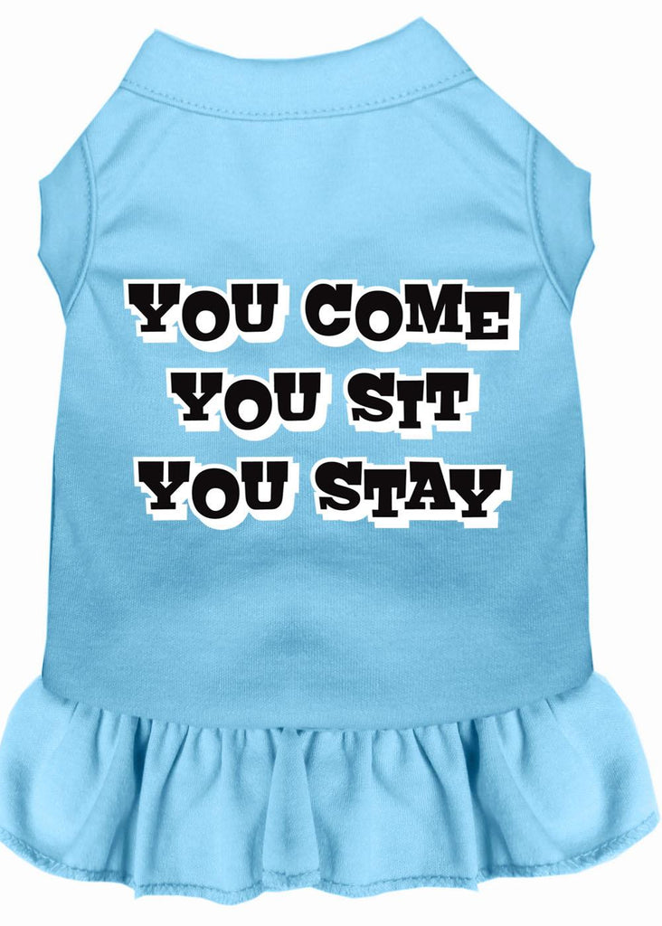 You Come, You Sit, You Stay Screen Print Dress Baby Blue 4x (22)