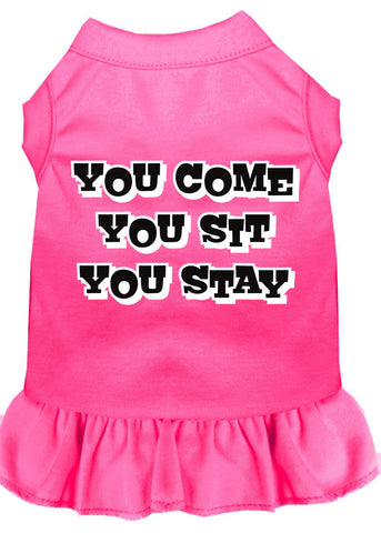 You Come, You Sit, You Stay Screen Print Dress Bright Pink 4x (22)