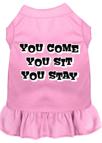 You Come, You Sit, You Stay Screen Print Dress Light Pink 4x (22)