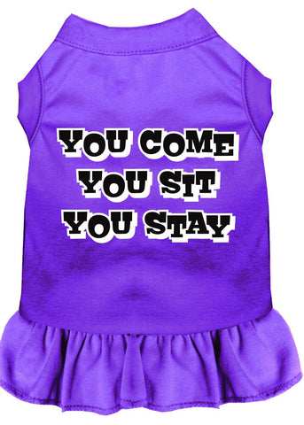 You Come, You Sit, You Stay Screen Print Dress Purple 4x (22)