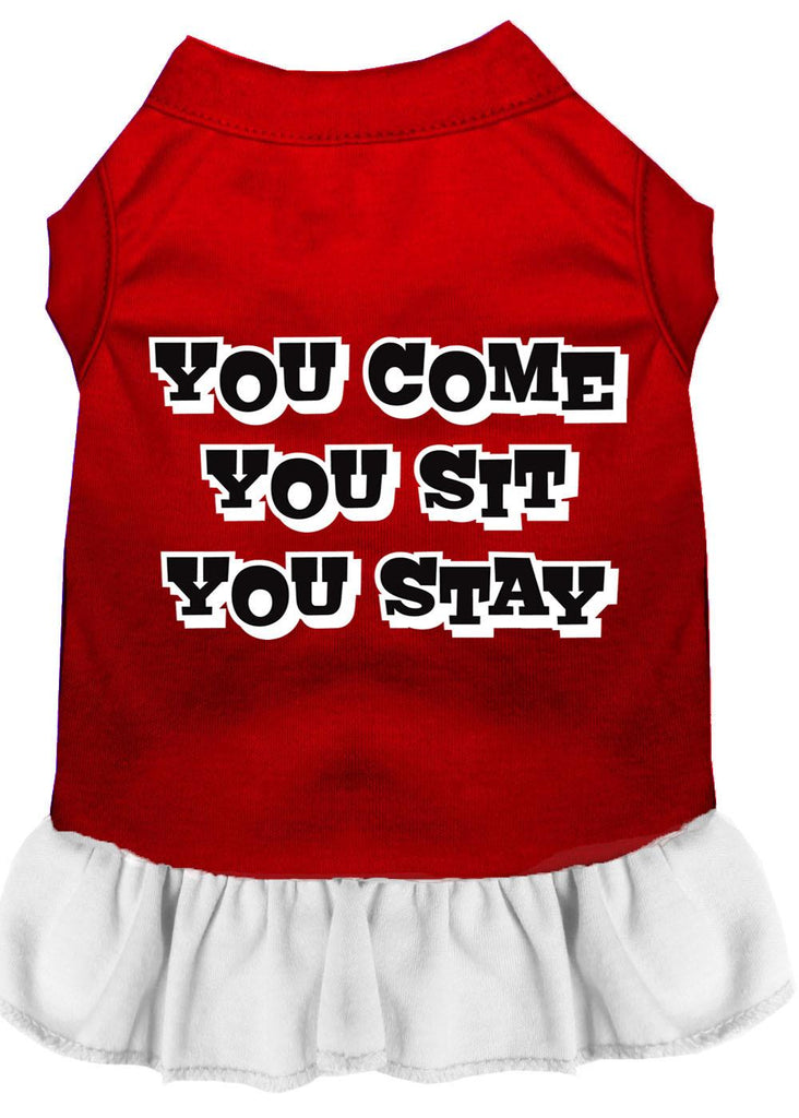 You Come, You Sit, You Stay Screen Print Dress Red With White Lg (14)