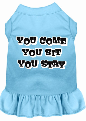 You Come, You Sit, You Stay Screen Print Dress Baby Blue Med (12)