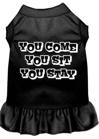 You Come, You Sit, You Stay Screen Print Dress Black Med (12)