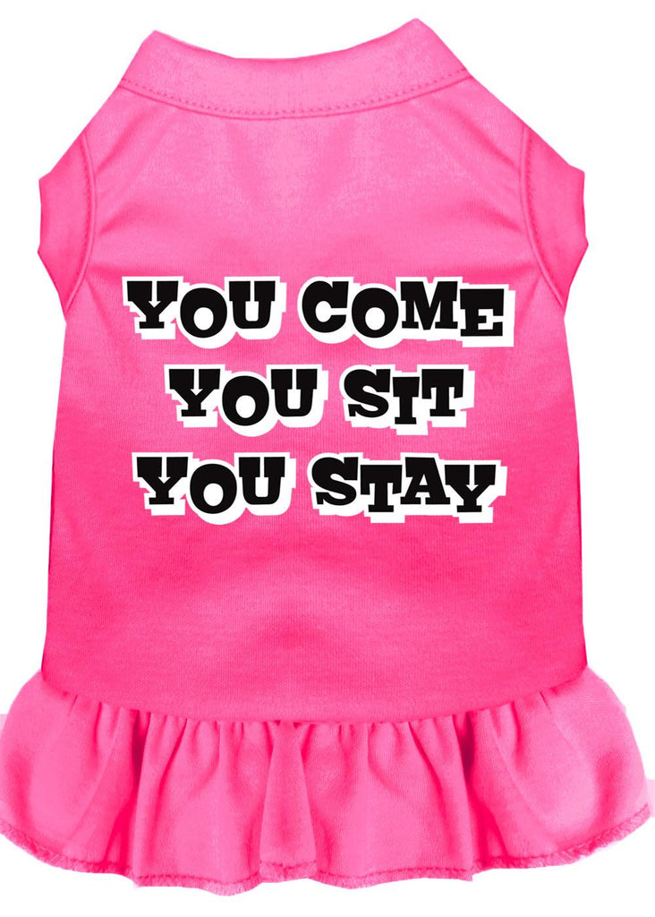 You Come, You Sit, You Stay Screen Print Dress Bright Pink Med (12)