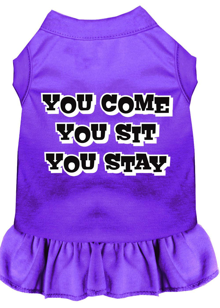 You Come, You Sit, You Stay Screen Print Dress Purple Med (12)