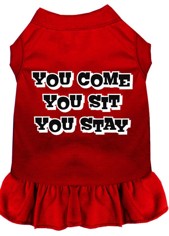 You Come, You Sit, You Stay Screen Print Dress Red Sm (10)