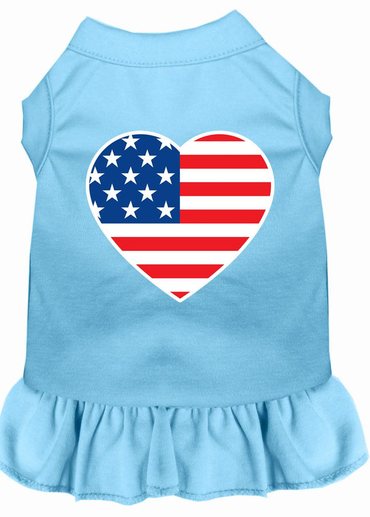 American Flag Heart Screen Print Dress Baby Blue Xs (8)