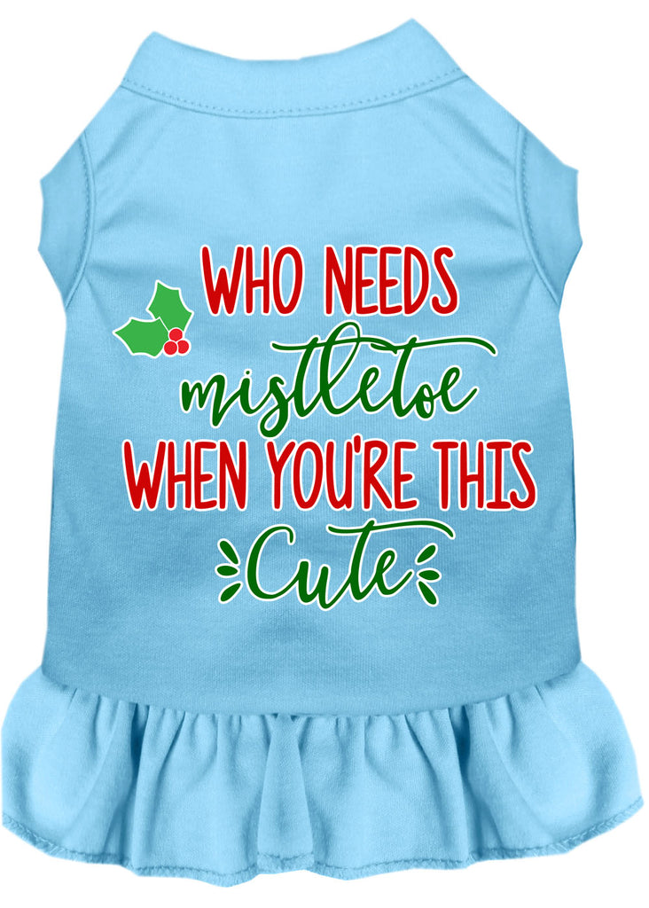 Who Needs Mistletoe Screen Print Dog Dress Baby Blue 4x