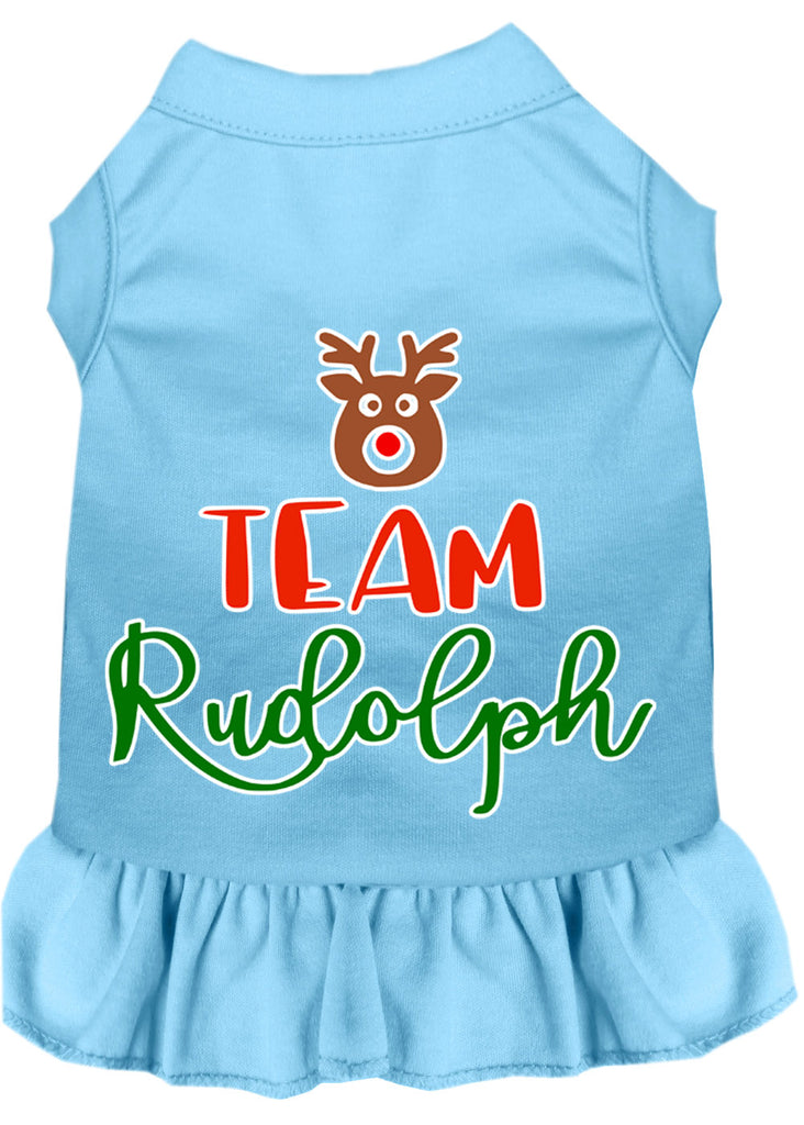 Team Rudolph Screen Print Dog Dress Baby Blue 4x