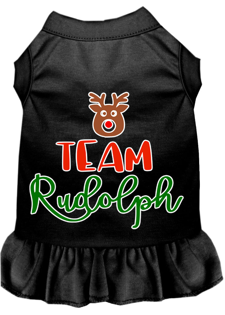 Team Rudolph Screen Print Dog Dress Black 4x