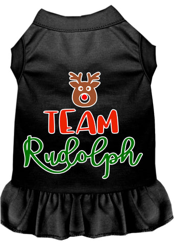 Team Rudolph Screen Print Dog Dress Black Sm